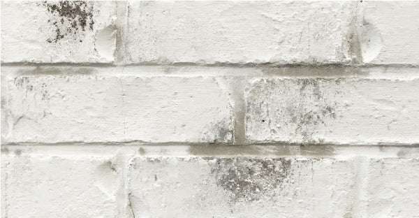 Romabio Classico Limewash 15L - Avorio White