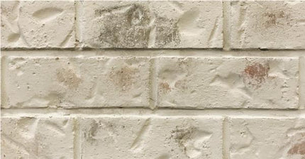Romabio Classico Limewash 2.5L - Riposo Beige