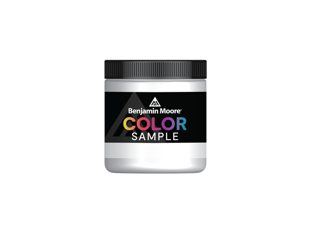 Benjamin Moore Color Sample Eggshell Half Pint
