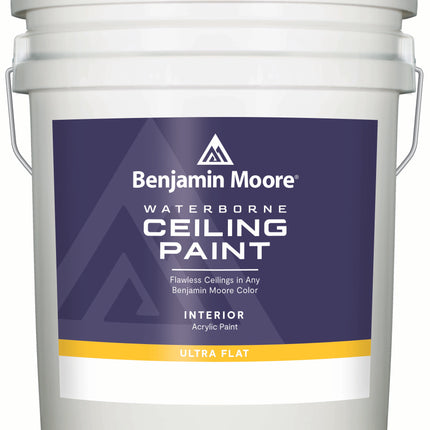 Waterborne Ceiling Paint N508