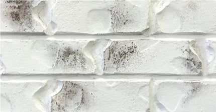 Romabio Classico Limewash 15L - Bianco White