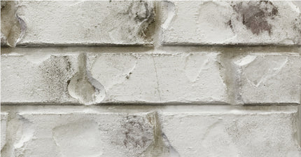 Romabio Classico Limewash 15L - Cristallo White