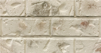 Romabio Classico Limewash 15L - Riposo Beige