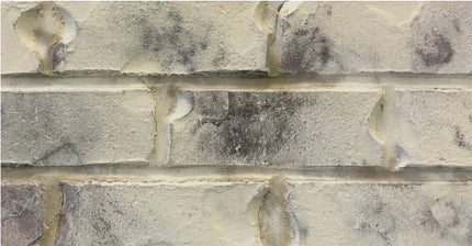Romabio Classico Limewash 15L - Nube Gray